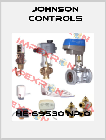 HE-69530 NP-0 Johnson Controls