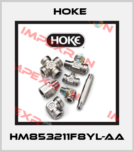 HM853211F8YL-AA Hoke