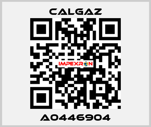 A0446904 Calgaz