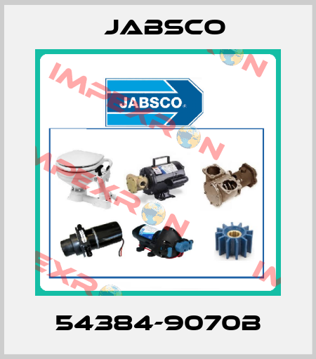 54384-9070B Jabsco
