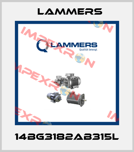 14BG3182AB315L Lammers