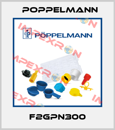 F2GPN300 Poppelmann