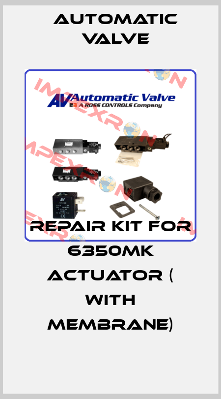 Repair kit for 6350MK actuator Automatic Valve