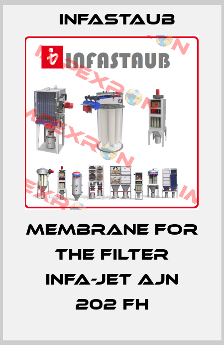 membrane for the filter INFA-JET AJN 202 FH Infastaub