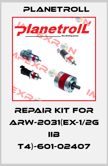 Repair kit for ARW-2031(Ex-1/2G IIB T4)-601-02407 Planetroll