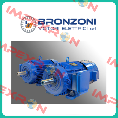 0146543 Bronzoni