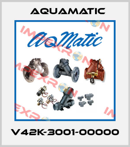 V42K-3001-00000 AquaMatic