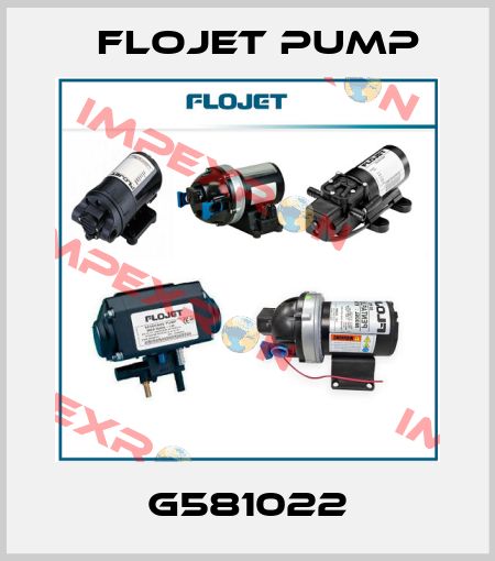 G581022 Flojet Pump