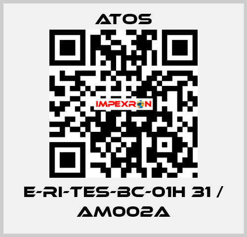 E-RI-TES-BC-01H 31 / AM002A Atos