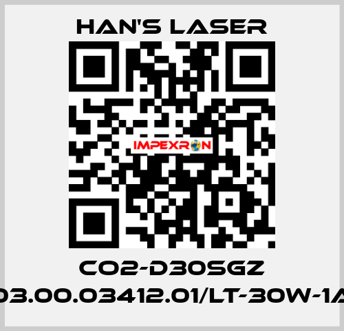 CO2-D30SGZ 03.00.03412.01/LT-30W-1A Han's Laser