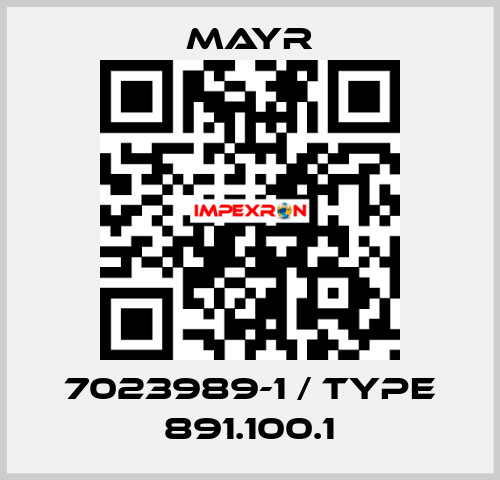 7023989-1 / Type 891.100.1 Mayr