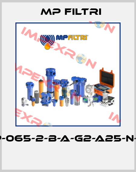FHP-065-2-B-A-G2-A25-N-P01  MP Filtri