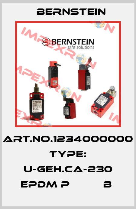 Art.No.1234000000 Type: U-GEH.CA-230 EPDM P          B  Bernstein