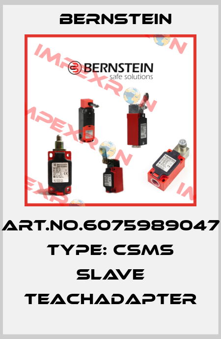 Art.No.6075989047 Type: CSMS SLAVE TEACHADAPTER Bernstein