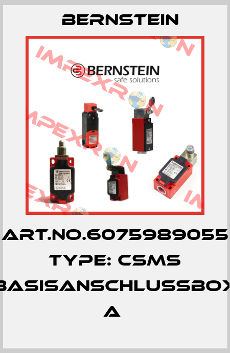 Art.No.6075989055 Type: CSMS BASISANSCHLUSSBOX       A  Bernstein