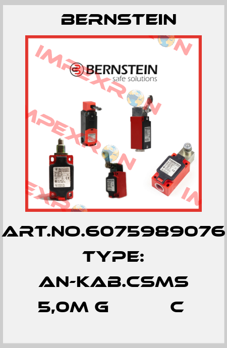 Art.No.6075989076 Type: AN-KAB.CSMS 5,0M G           C  Bernstein