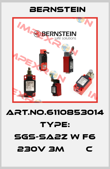 Art.No.6110853014 Type: SGS-SA2Z w F6 230V 3M        C Bernstein