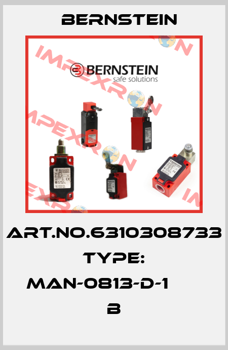 Art.No.6310308733 Type: MAN-0813-D-1                 B Bernstein