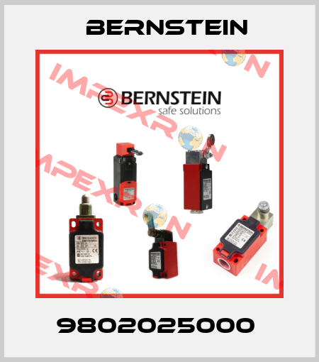 9802025000  Bernstein