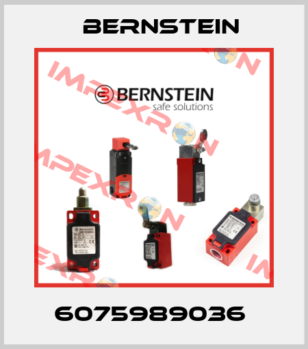 6075989036  Bernstein