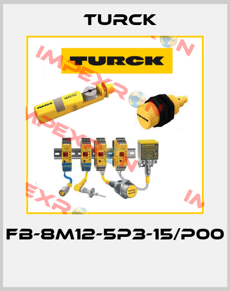 FB-8M12-5P3-15/P00  Turck
