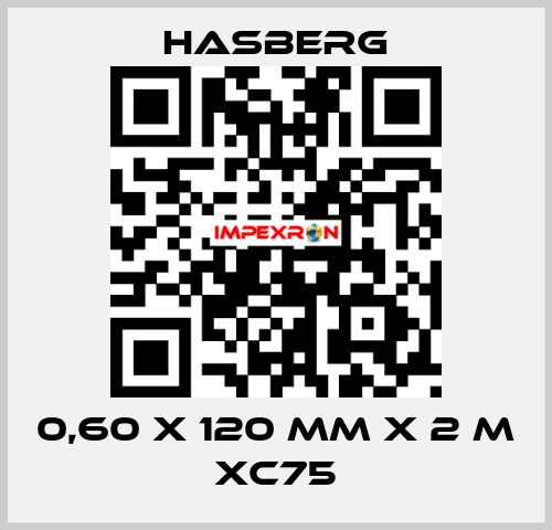 0,60 X 120 MM X 2 M XC75 Hasberg