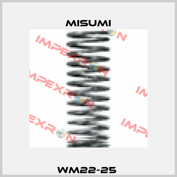WM22-25  Misumi