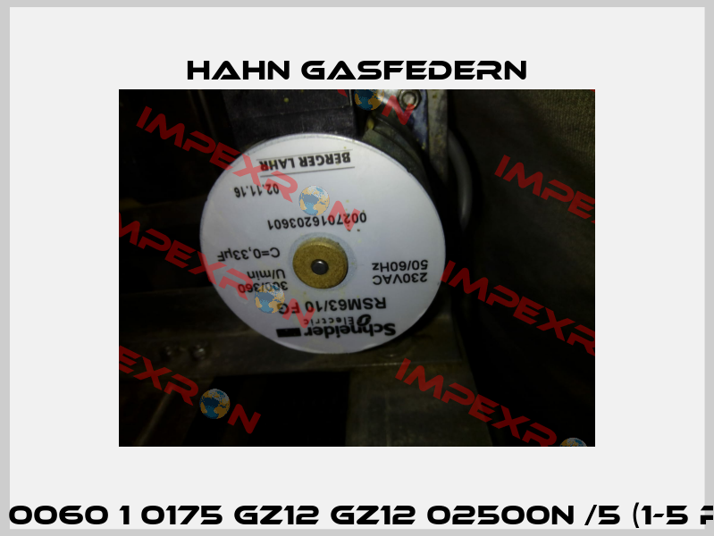 G 14 28 0060 1 0175 GZ12 GZ12 02500N /5 (1-5 pieces)  Hahn Gasfedern