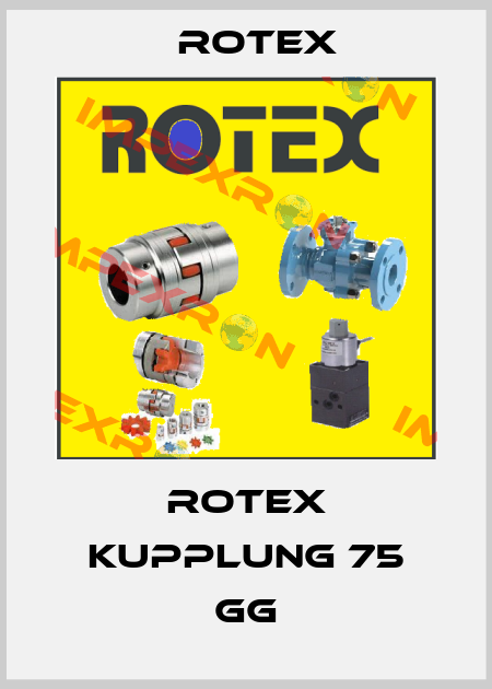 ROTEX Kupplung 75 GG Rotex