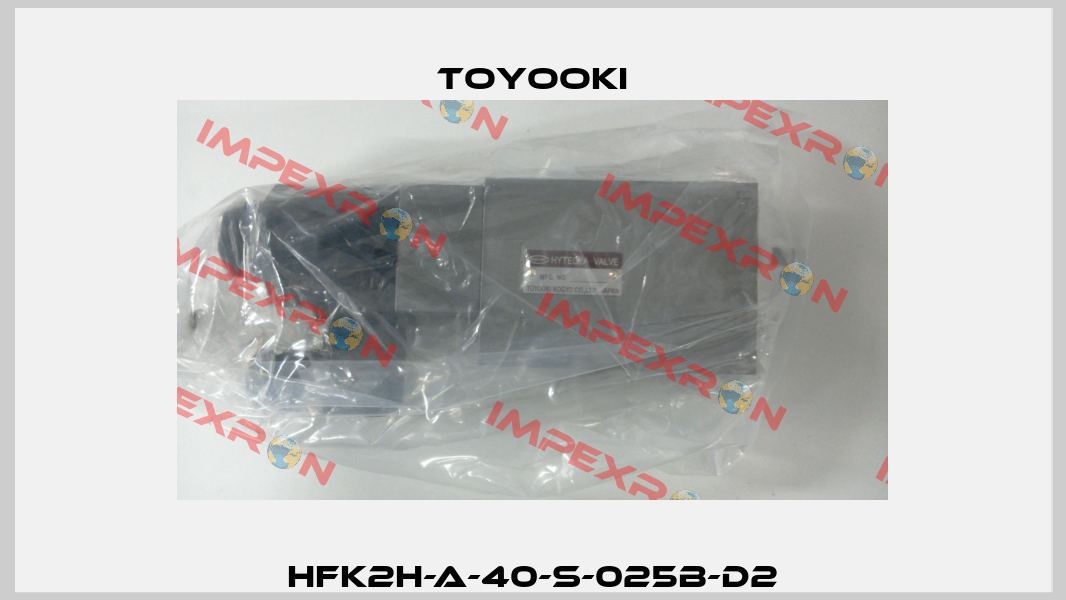 HFK2H-A-40-S-025B-D2 Toyooki