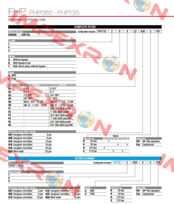 FHP-135-3-B-A-G2-A16-N-P01 MP Filtri