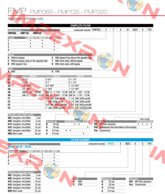 FMP-065-2-B-A-G1-A06-N-P01 MP Filtri