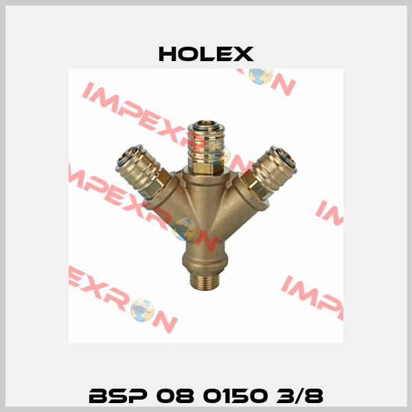 BSP 08 0150 3/8 Holex