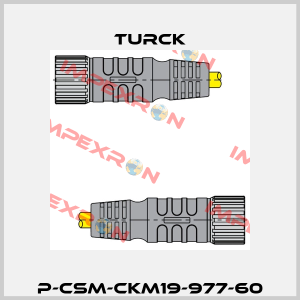 P-CSM-CKM19-977-60 Turck